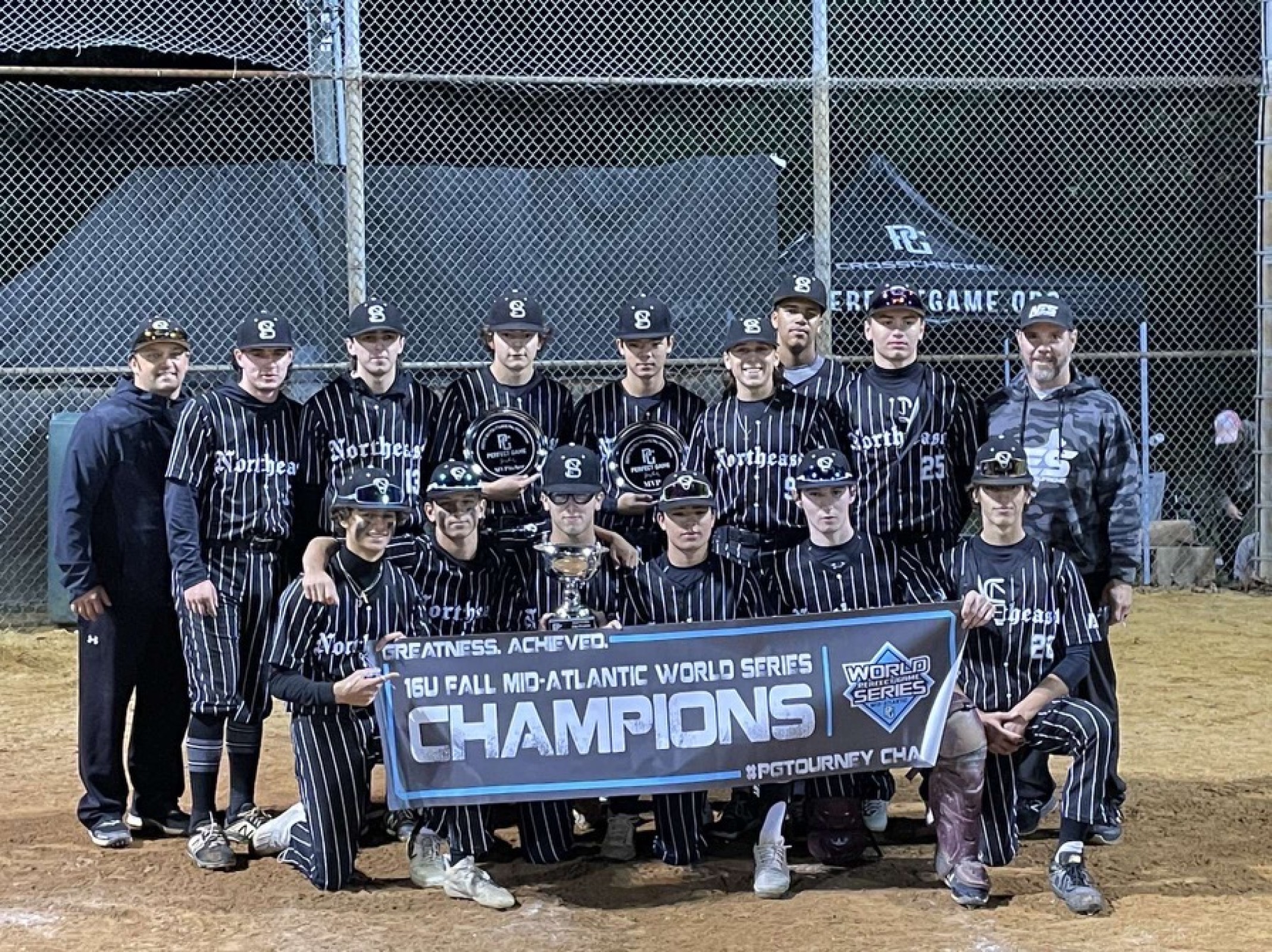 1652624056NES Logo.JPG